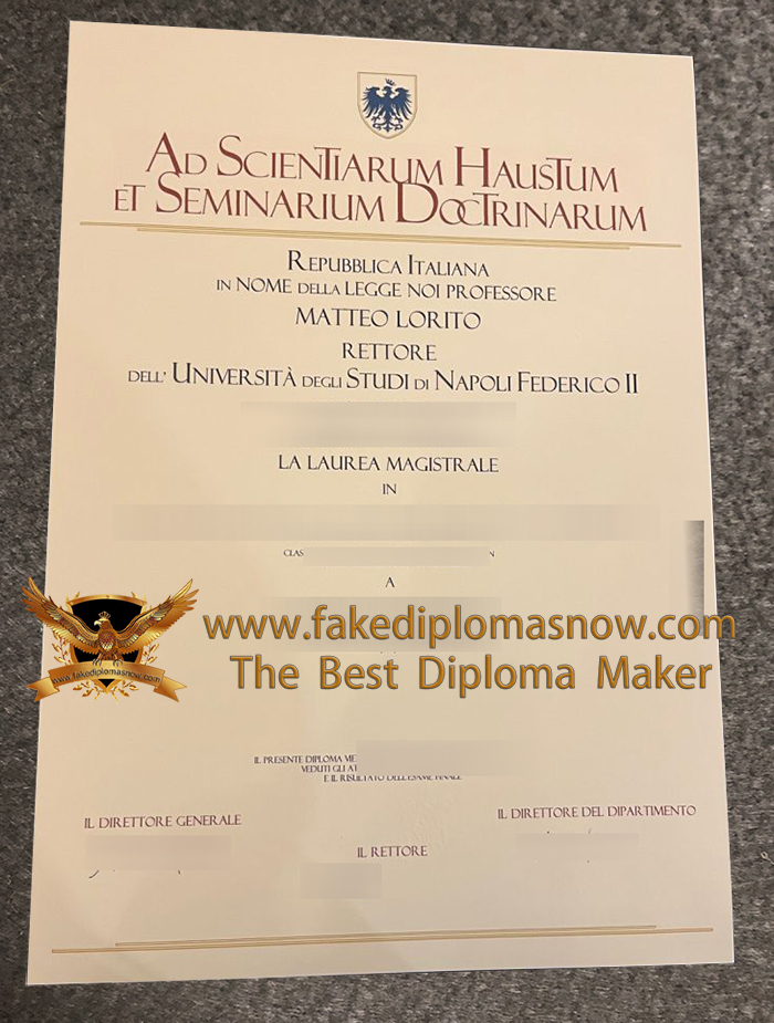 Università Degli Studi Di Napoli Federico Ii Diploma Università Degli Studi Di Napoli Federico Ii Diploma