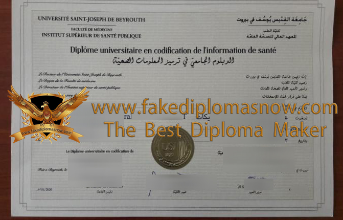 Université Saint-Joseph de Beyrouth diploma