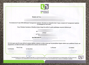 Université de Namur diploma certificate