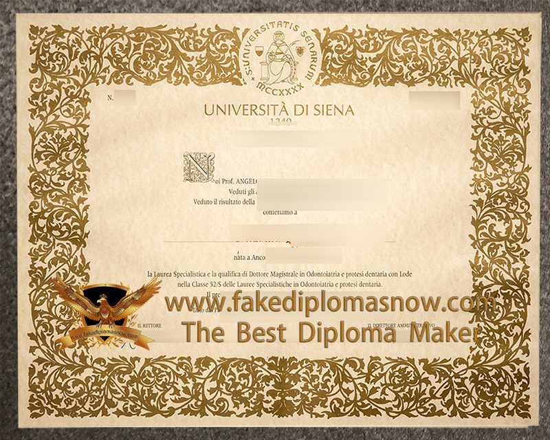 University of Siena diploma