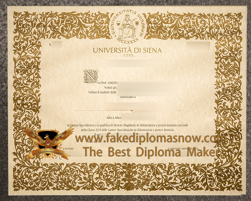 University of Siena diploma University of Siena diploma