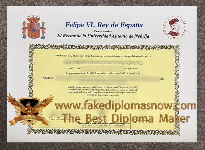 Universidad Antonio de Nebrija diploma