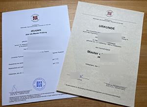 Universität Hildesheim Urkunde and Zeugnis sample