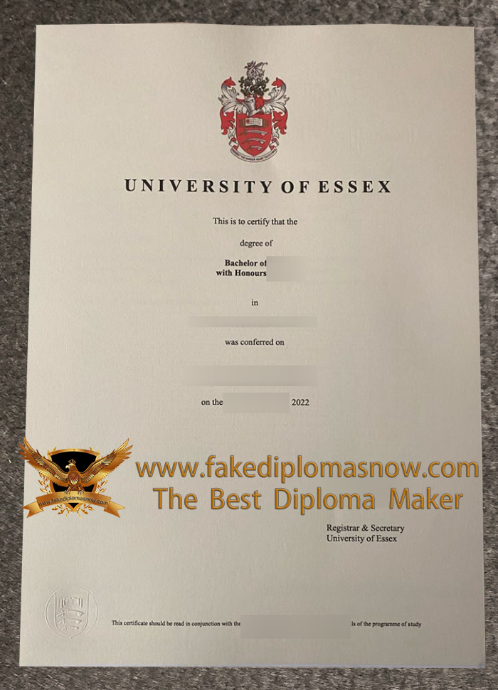 University Of Essex Degree