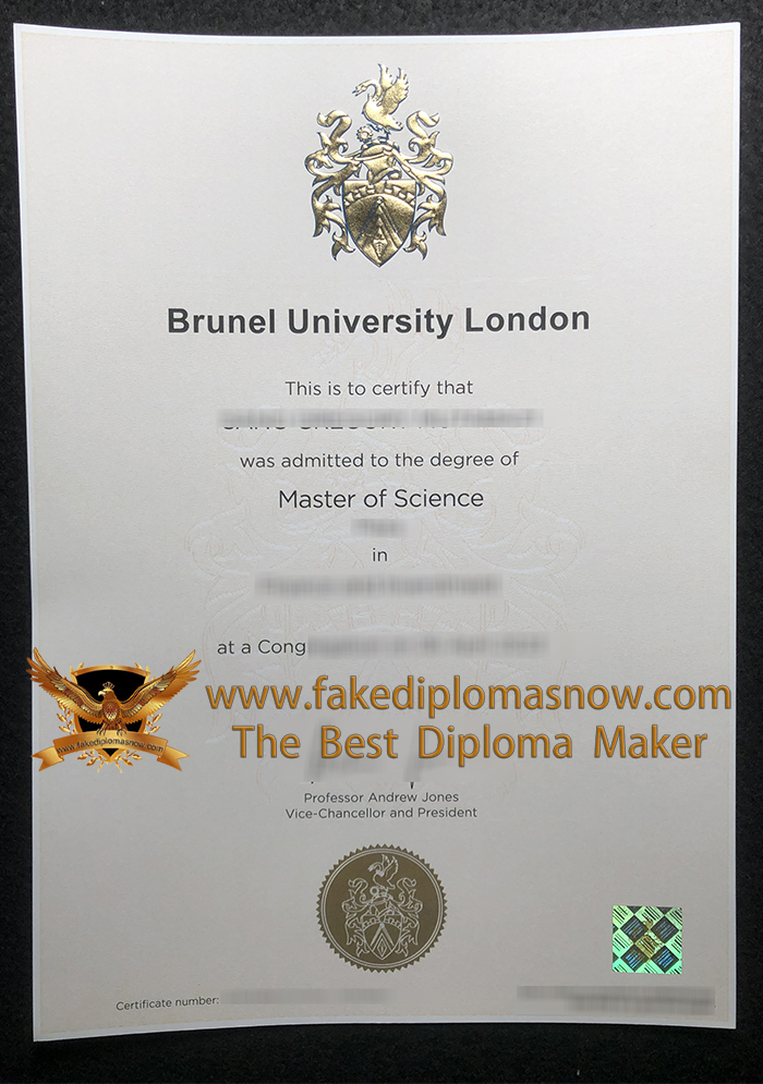 BUL MSc degree BUL MSc degree