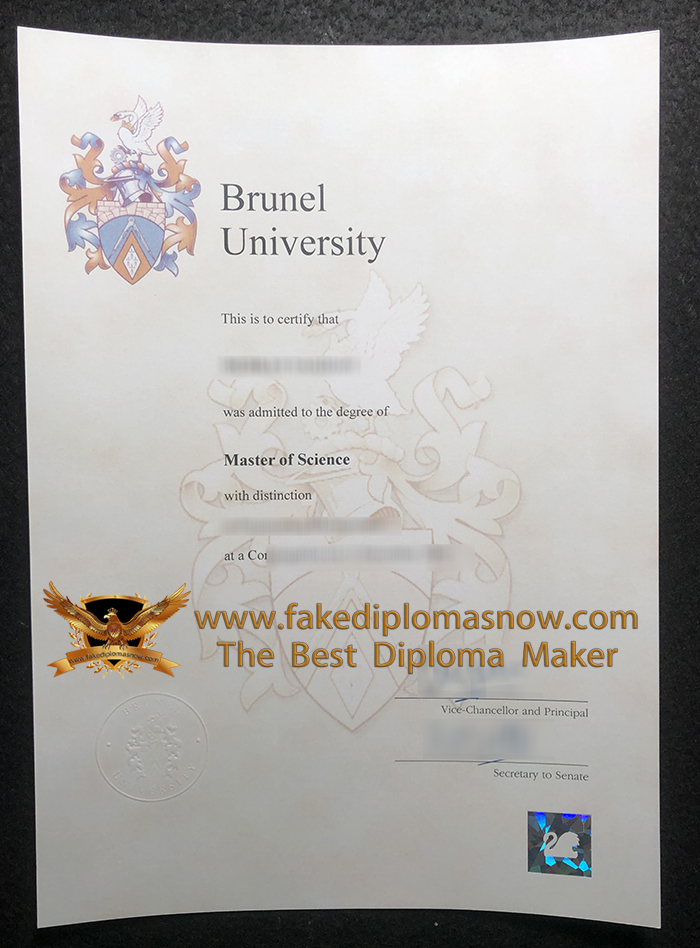 Brunel University degree