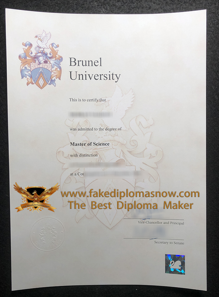 Brunel University degree 2009 Brunel University degree