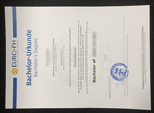 Euro-FH degree certificate