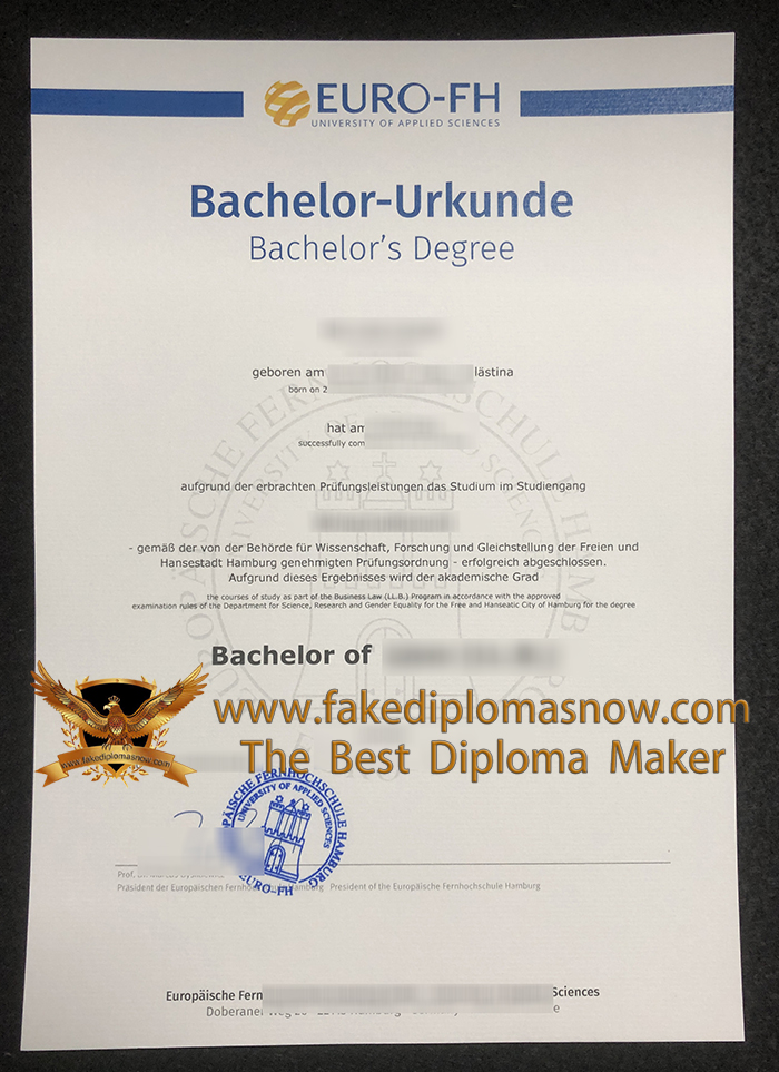 Euro-FH degree