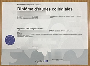 Buy a DCS diploma online, Order a Quebec Diploma of College Studies diploma