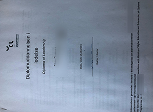 UCL Erhvervsakademi og Professionshøjskole diploma