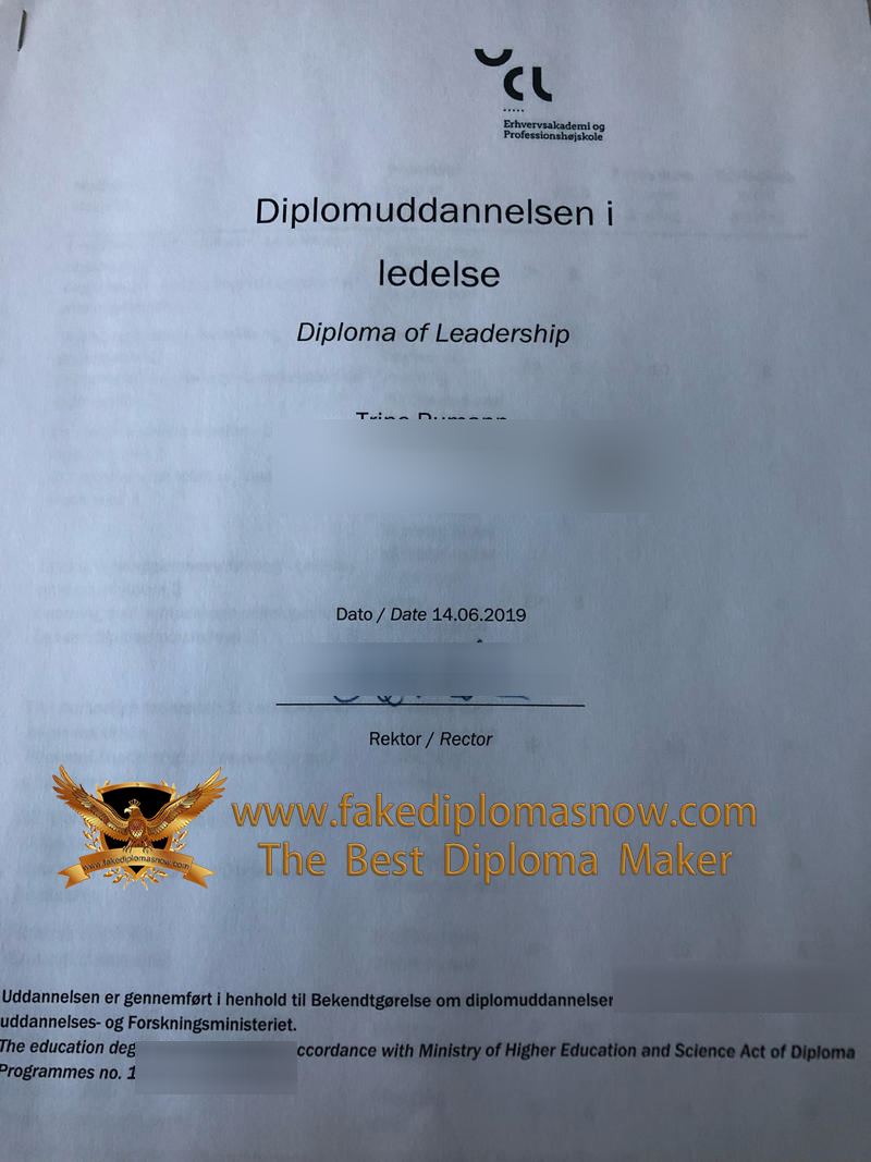 UCL Erhvervsakademi og Professionshøjskole diploma