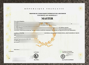 University Aix-Marseille III diploma certificate