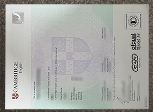 Buy A Fake Cambridge English B2 Certificate in 2024