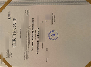 Corvinus University of Budapest diploma