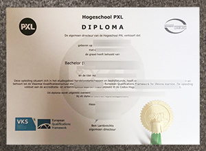 Hogeschool PXL Diploma certificate