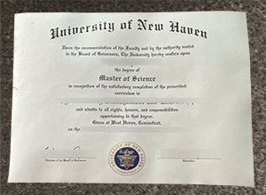 University of New Haven Diploma