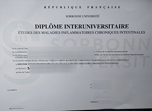 Sorbonne University Etudes Des Maladies Inflammatoires Chroniques Intestinales Diploma