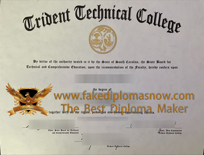 Trident Technical College diploma