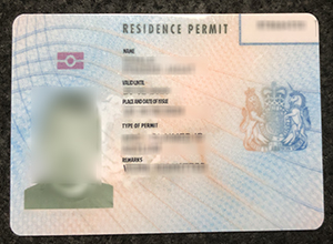 UK Residence permit card sample