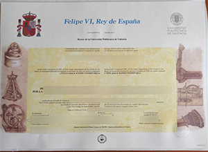 Universitat Politecnica de València diploma certificate