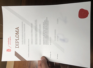 University of Groningen diploma