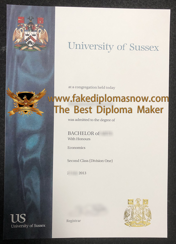 University of Sussex degree 2013