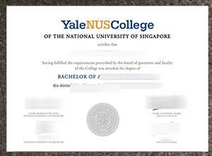 How much to get a Yale-NUS College diploma?
