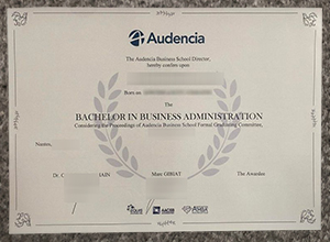 Audencia Business School diploma certificate