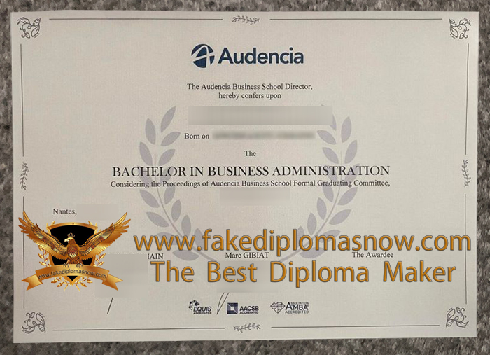 Audencia Business School diploma