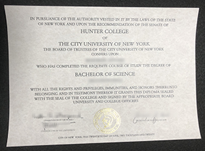 Hunter College BSc diploma certificate