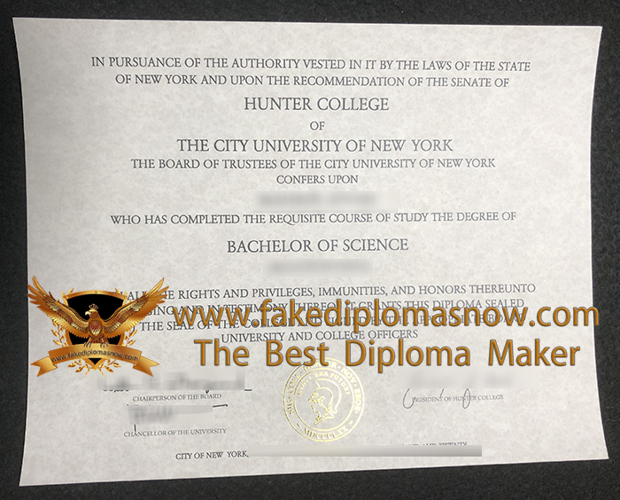Hunter College BSc diploma