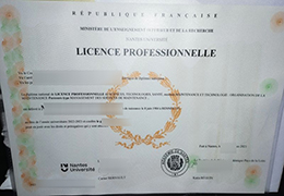 Nantes Université Licence