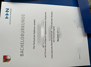 Hochschule Heilbronn diploma certificate