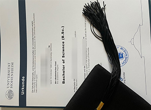 Universität Hohenheim Urkunde sample