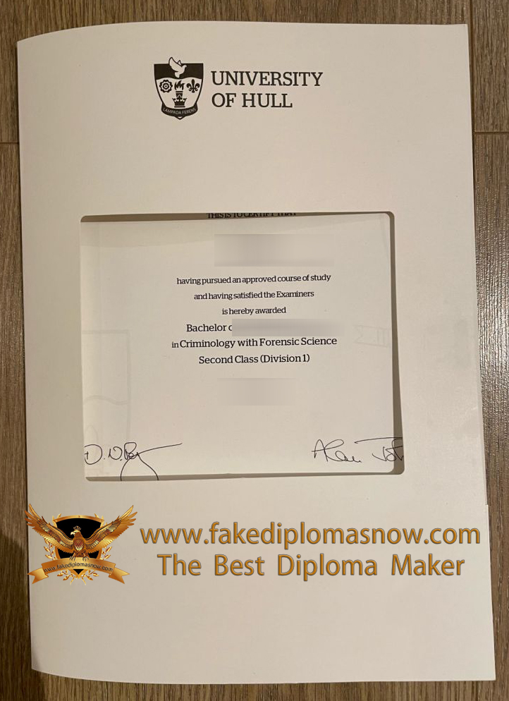 University of Hull degree cover University of Hull degree cover