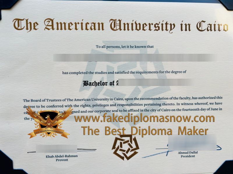 American University in Cairo Diploma American University in Cairo Diploma