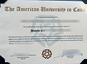 American University in Cairo diploma certificate