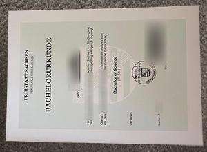 Berufsakademie Sachsen Urkunde