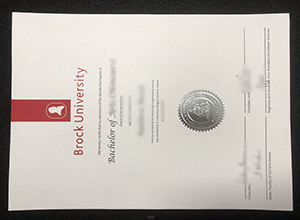 Brock University Degree certificate