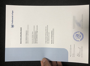 Fernuniversität in Hagen Bachelor diploma sample