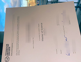 Technische Universität Dresden (TUD) MSc degree