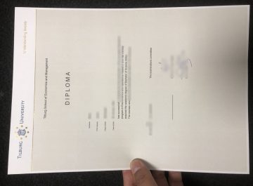How much to buy a Tilburg University diploma certificate?