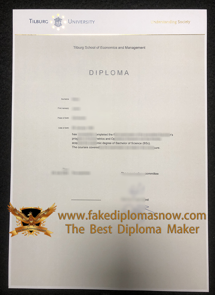 Tilburg University diploma certificate