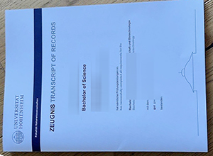 Where to order a Universität Hohenheim transcript?