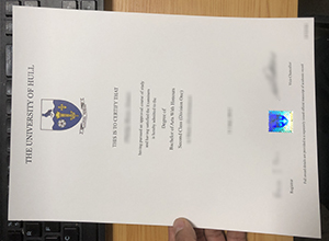 University of Hull BA degree sample
