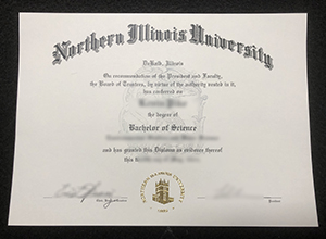 Top 11 Tips With Buy A Northern Illinois University BSc Degree