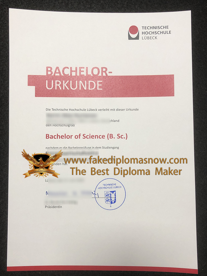 TH Lübeck Bachelor Urkunde sample TH Lübeck Bachelor Urkunde sample