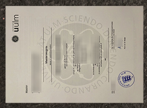 How much to order Universität Ulm Zeugnis in Germany?