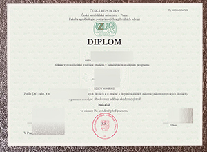 Best option to get Česká zemědělská univerzita v Praze diploma
